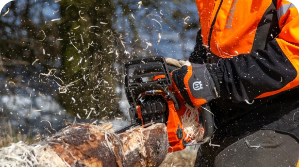 Motorsägenkurs Modul A